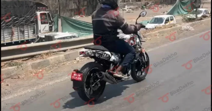 2025 Benelli Leoncino 250